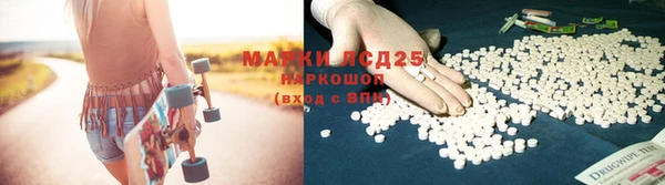 PSILOCYBIN Аркадак