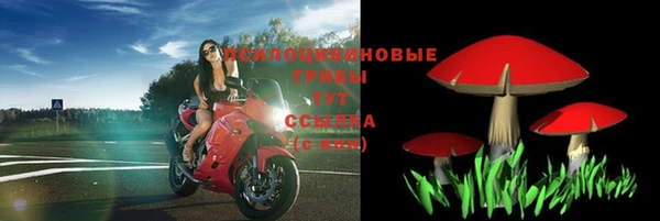 молекула духа Алексеевка