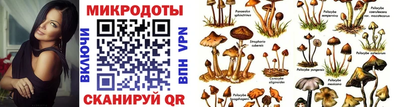 omg зеркало  Ноябрьск  Галлюциногенные грибы Psilocybe 